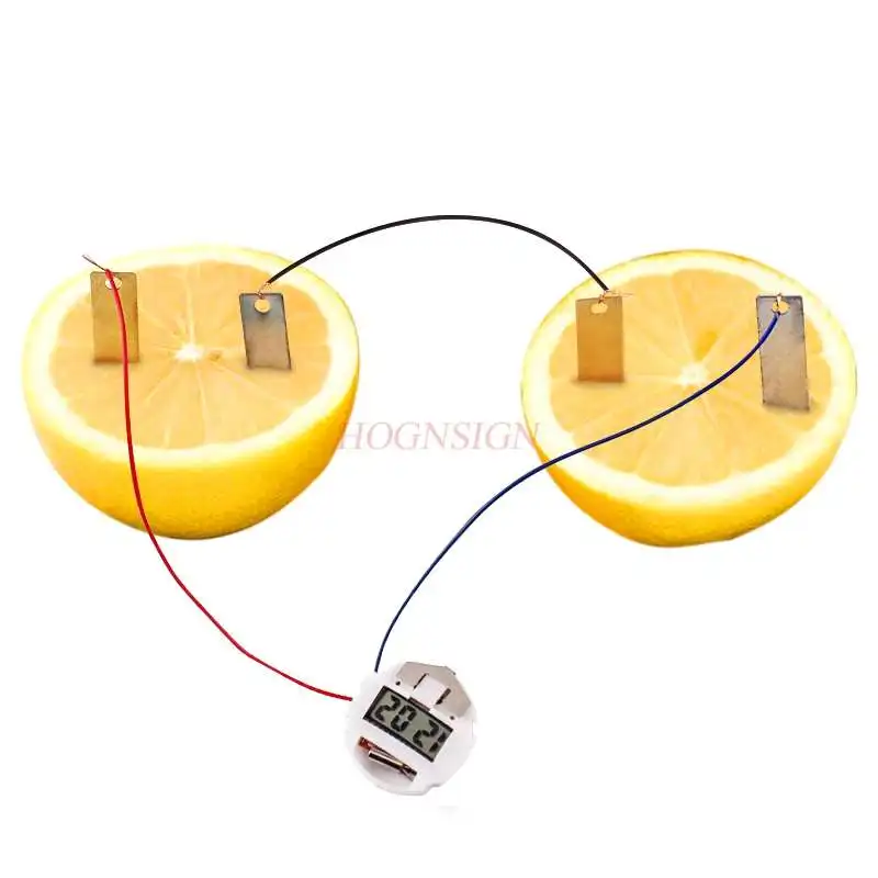 Scientific Experiment Equipment Fruit Conductive Experiment Fruit Battery Technology Small Production School Supplies
Scientific Experiment Equipment Fruit Conductive Experiment Fruit Battery Technology Small Production School Supplies