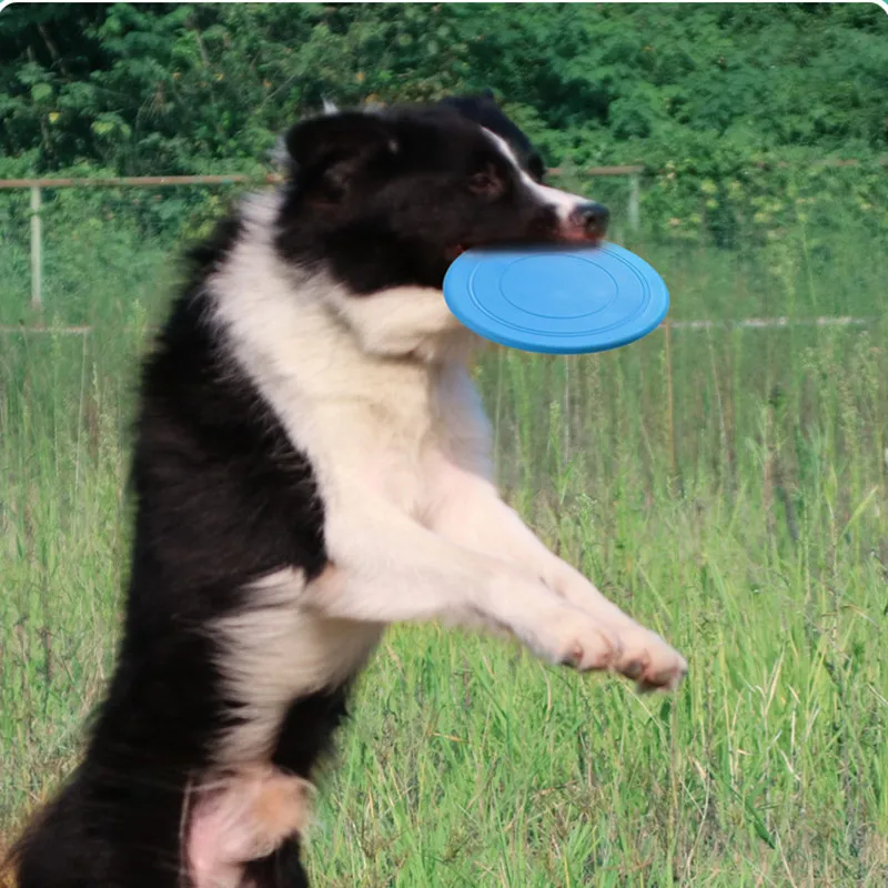 1pcs Pet dog Flying Discs Training Flying Discs Interactive Bite Resistant Silica Gel Soft Flying Discs Pet Supplies
1pcs Pet dog Flying Discs Training Flying Discs Interactive Bite Resistant Silica Gel Soft Flying Discs Pet Supplies
