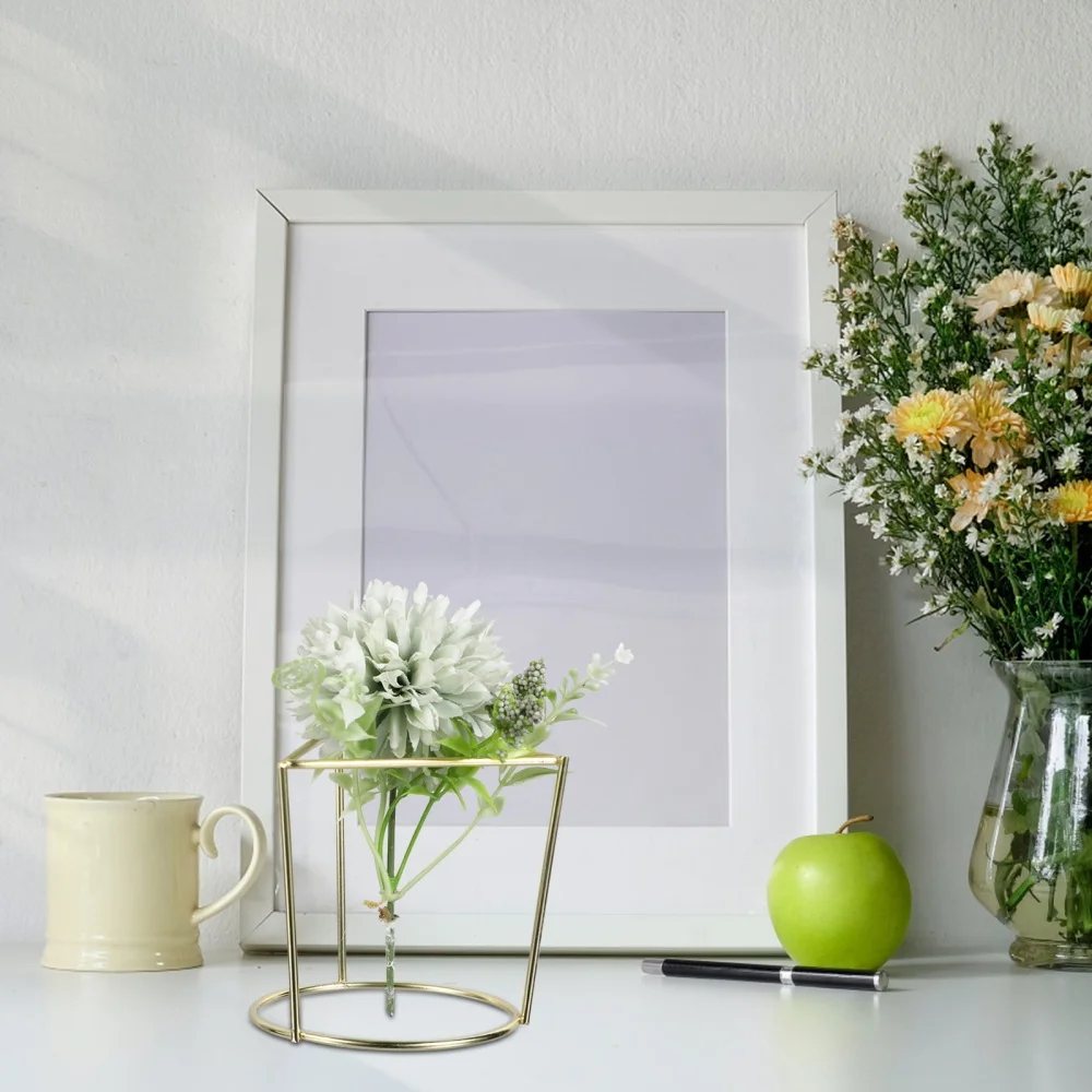 Air Plant Holder Household Plant Display Stand Iron Plant Support (Golden)
Air Plant Holder Household Plant Display Stand Iron Plant Support (Golden)