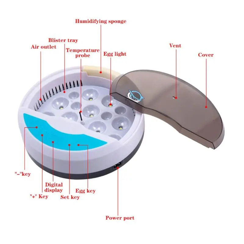 9 Eggs Incubator Brooder Bird Quail Chick Hatchery LED Temperature Humidity Controller Poultry Automatic Farm Incubation Tools
9 Eggs Incubator Brooder Bird Quail Chick Hatchery LED Temperature Humidity Controller Poultry Automatic Farm Incubation Tools