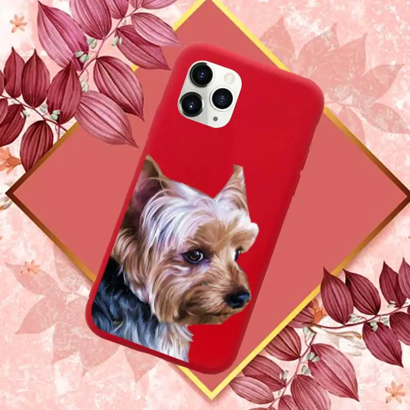 Yorkshire terrier dog Newest Fashion Novelty Phone Case Candy Color for iPhone 11 12 mini pro XS MAX 8 7 6 6S Plus X SE 2020 XR 
Yorkshire terrier dog Newest Fashion Novelty Phone Case Candy Color for iPhone 11 12 mini pro XS MAX 8 7 6 6S Plus X SE 2020 XR