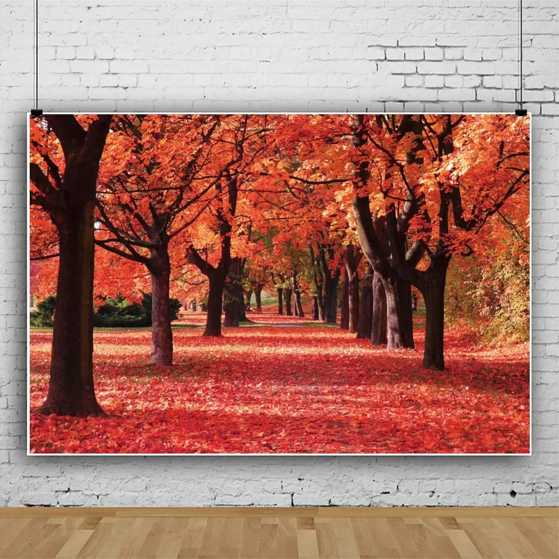 

Autumn Photography Backdrop Fall Yellow Red Maple Trees Leaves Forest Path Grass Outdoor Countryside Landscape Background Poster