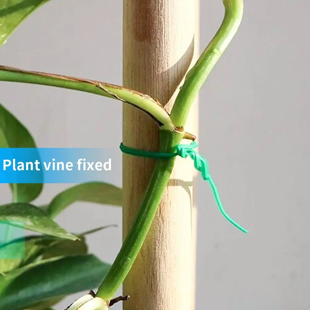 100m Green Strapping Rope Garden Tie Useful Plastic Coated Gardening Plate Line Vines DIY Flower Tie-Line Binding Wire
100m Green Strapping Rope Garden Tie Useful Plastic Coated Gardening Plate Line Vines DIY Flower Tie-Line Binding Wire
