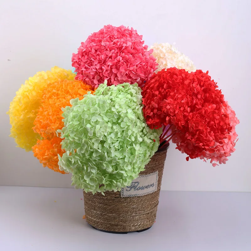 15-20CM Hydrangea Head,Dried Natural Fresh Preserved Flowers Eternal Forever Hydrangeas Living Room Decoration Wedding
15-20CM Hydrangea Head,Dried Natural Fresh Preserved Flowers Eternal Forever Hydrangeas Living Room Decoration Wedding
