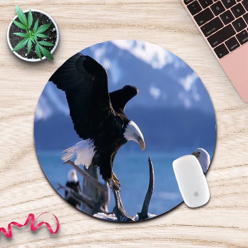 MRGLZY Enjoy The Joy of Small Animals Gaming Accessories Wireless Charging Mouse Pad Cute Mouse Pad
MRGLZY Enjoy The Joy of Small Animals Gaming Accessories Wireless Charging Mouse Pad Cute Mouse Pad