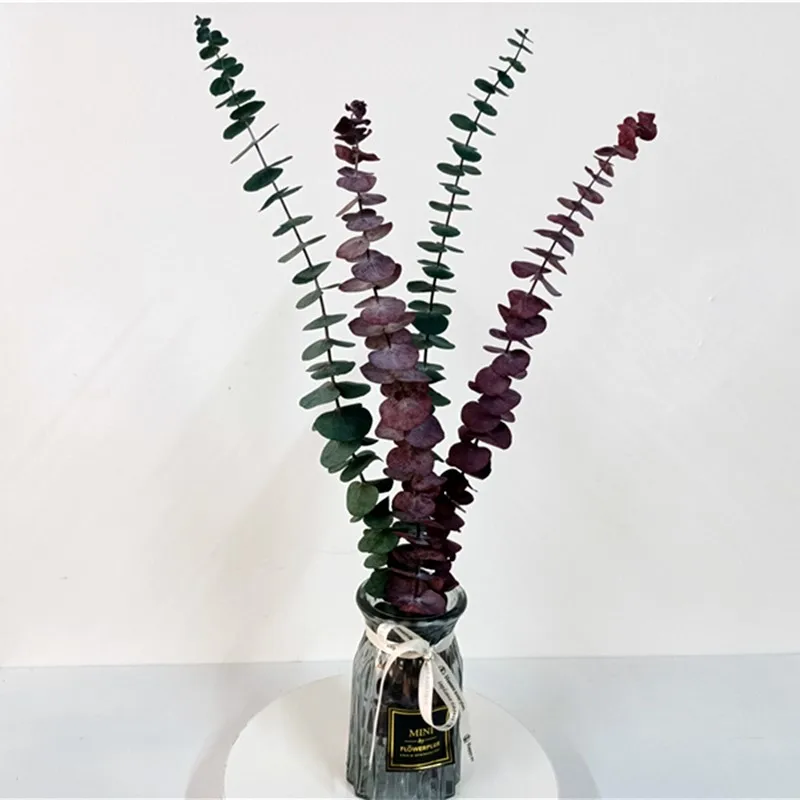 Natural Eucalyptus Leaves Ornament For DIY HomeDried Flower Wedding Shooting Prop Decoration Supplies Branches Stems Plan
Natural Eucalyptus Leaves Ornament For DIY HomeDried Flower Wedding Shooting Prop Decoration Supplies Branches Stems Plan