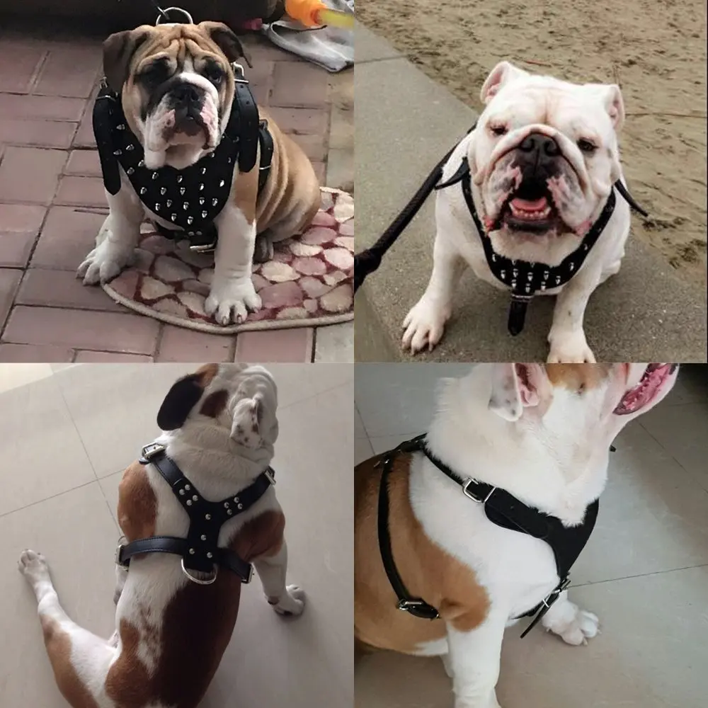 Cool Spiked Studded Leather Dog Harness Adjustable For Medium Large Dogs Pitbull Bulldog Boxer Mastiff Walking Training
Cool Spiked Studded Leather Dog Harness Adjustable For Medium Large Dogs Pitbull Bulldog Boxer Mastiff Walking Training