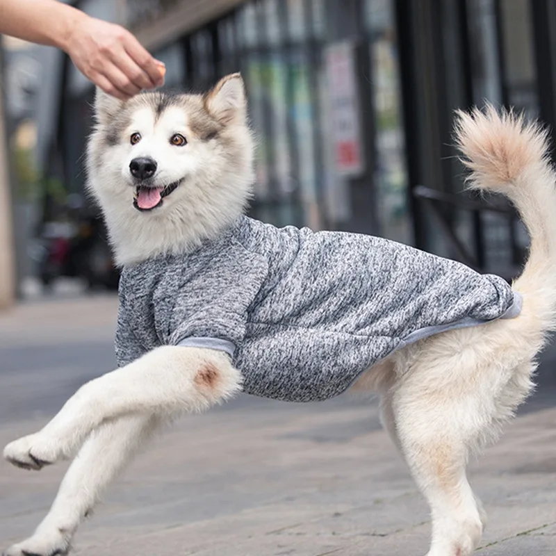 Dog sweatshirt 3XL-6XL large Dog clothes pets sports clothing comfortable and breathable pet dog clothings 
Dog sweatshirt 3XL-6XL large Dog clothes pets sports clothing comfortable and breathable pet dog clothings