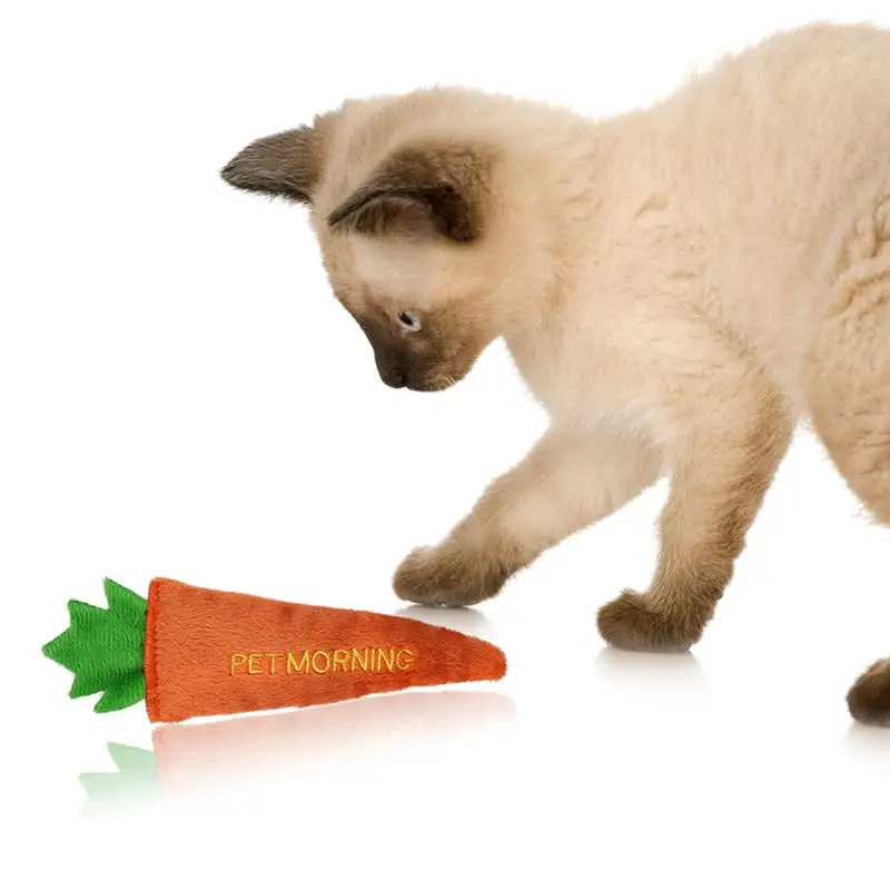 Legendog 1pc Cute Cat Toy Creative Carrot Eggplant Pepper Fish Decor Catnip Toy Cat Chewing Toy Pet Supplies Cat Favors
Legendog 1pc Cute Cat Toy Creative Carrot Eggplant Pepper Fish Decor Catnip Toy Cat Chewing Toy Pet Supplies Cat Favors