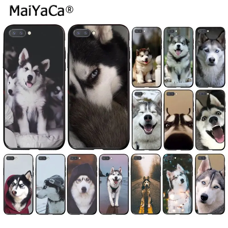 MaiYaCa Husky the cute pet dog Phone Case for Huawei Honor 8X 9 10 20 Lite 7A 8A 5A 7C 10i 9X Pro Play 7A Pro 10i 7C
MaiYaCa Husky the cute pet dog Phone Case for Huawei Honor 8X 9 10 20 Lite 7A 8A 5A 7C 10i 9X Pro Play 7A Pro 10i 7C