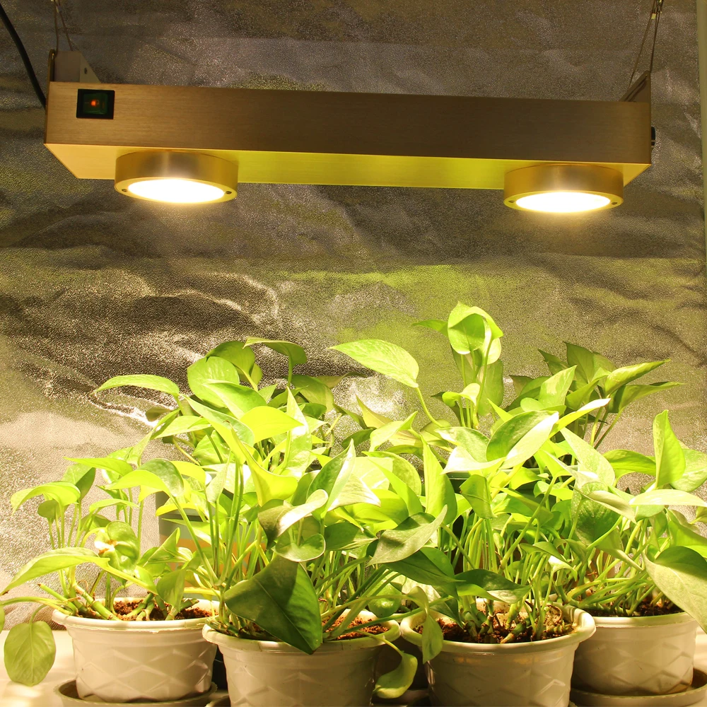 CREE CXB3590 COB LED Grow Light Full Spectrum 200W for Indoor Plant Growth Panel Lamp With Dimmable MeanWell Driver & Timer
CREE CXB3590 COB LED Grow Light Full Spectrum 200W for Indoor Plant Growth Panel Lamp With Dimmable MeanWell Driver & Timer