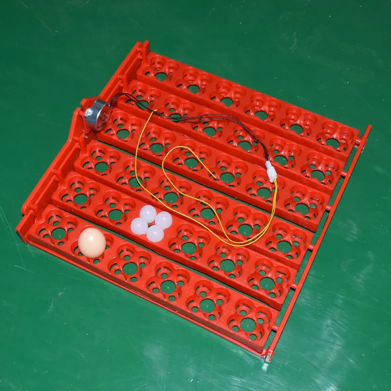 36 Eggs/144 Bird Eggs Incubator Hatcher Mini Hatchery Egg Incubator Hatcher Automatic Egg Turning Tray Tool Incubation Equipment
36 Eggs/144 Bird Eggs Incubator Hatcher Mini Hatchery Egg Incubator Hatcher Automatic Egg Turning Tray Tool Incubation Equipment