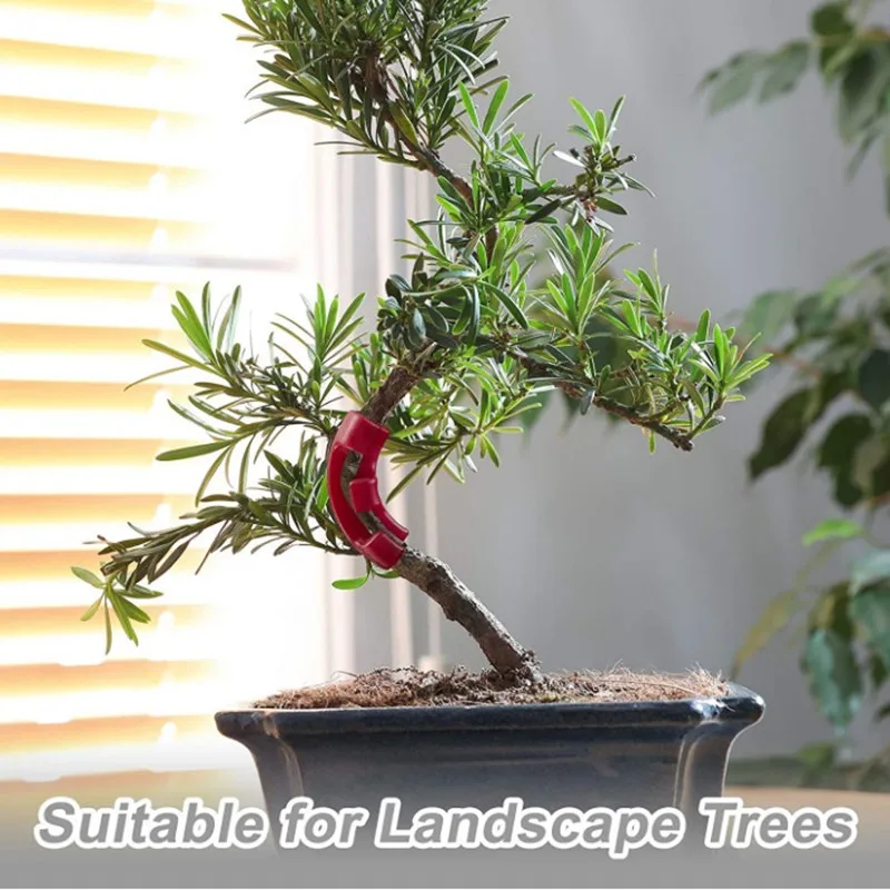 5-35 Pcs Bend The Plant Clips 45/90 Degree Plant Bender For Low Stress Training And Red Plants Training Curved Plant Holder 2021
5-35 Pcs Bend The Plant Clips 45/90 Degree Plant Bender For Low Stress Training And Red Plants Training Curved Plant Holder 2021