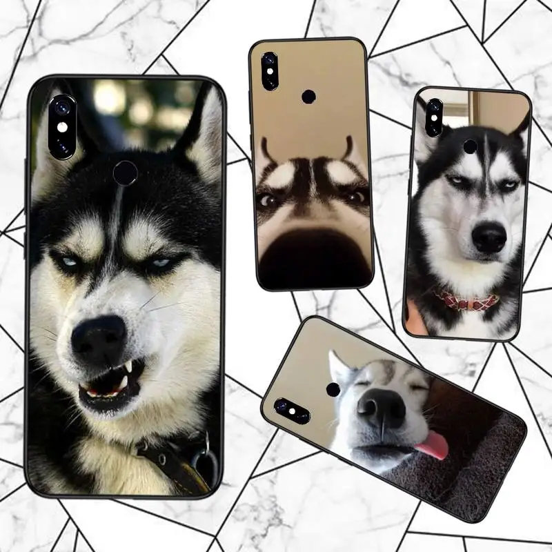 Husky Phone Case For Xiaomi Redmi 4x 5 plus 6A 7 7A 8 mi8 8lite 9 note 4 5 7 8 pro
Husky Phone Case For Xiaomi Redmi 4x 5 plus 6A 7 7A 8 mi8 8lite 9 note 4 5 7 8 pro