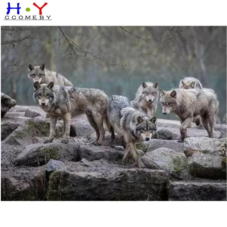 Animal wolf 5D DIY diamond painting cross stitch square diamond embroidery full circle mosaic home decoration christmas gift
Animal wolf 5D DIY diamond painting cross stitch square diamond embroidery full circle mosaic home decoration christmas gift