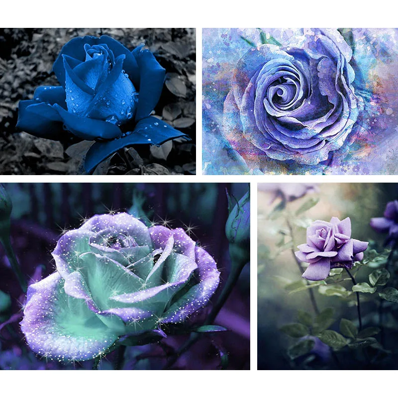 5D DIY Cross Stitch Diamond Painting Blue Rose Full Round Square Diamond Embroidery Bloom Mosaic Handcrafted Wall Decor Gift H26
5D DIY Cross Stitch Diamond Painting Blue Rose Full Round Square Diamond Embroidery Bloom Mosaic Handcrafted Wall Decor Gift H26