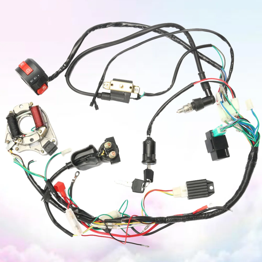 1 Set 50 70 90 110CC CDI Wire Harness Assembly Wiring Kit ATV Electric Start Quad CDI Wire Harness Assembly Wiring Ignition Swit
1 Set 50 70 90 110CC CDI Wire Harness Assembly Wiring Kit ATV Electric Start Quad CDI Wire Harness Assembly Wiring Ignition Swit