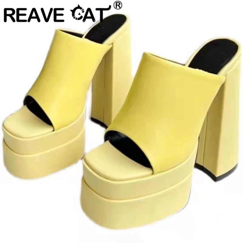 Женские однотонные туфли REAVE CAT, модель 2022 года, летние Яркие туфли на высоком блочном каблуке с разрезом, большой размер 34-43, черный, белый, кр...
Женские однотонные туфли REAVE CAT, модель 2022 года, летние Яркие туфли на высоком блочном каблуке с разрезом, большой размер 34-43, черный, белый, кр...