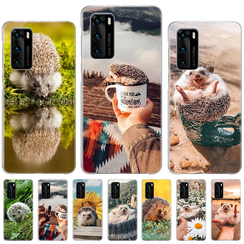 Cute Hedgehog Outing Case For Samsung A50 A50S A70 A70S Back Cover For Galaxy A10 A10S A20 A20S A20E A30 A30S A40 A40S Coque
Cute Hedgehog Outing Case For Samsung A50 A50S A70 A70S Back Cover For Galaxy A10 A10S A20 A20S A20E A30 A30S A40 A40S Coque