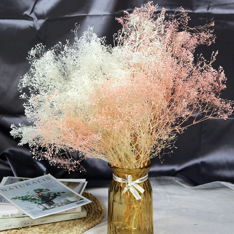 

Eternell Gypsophila Dry Flower Preserved Million Babybreath Bouquet,Dried Natural Flowers Mini Babys Breath Wedding Home Decor