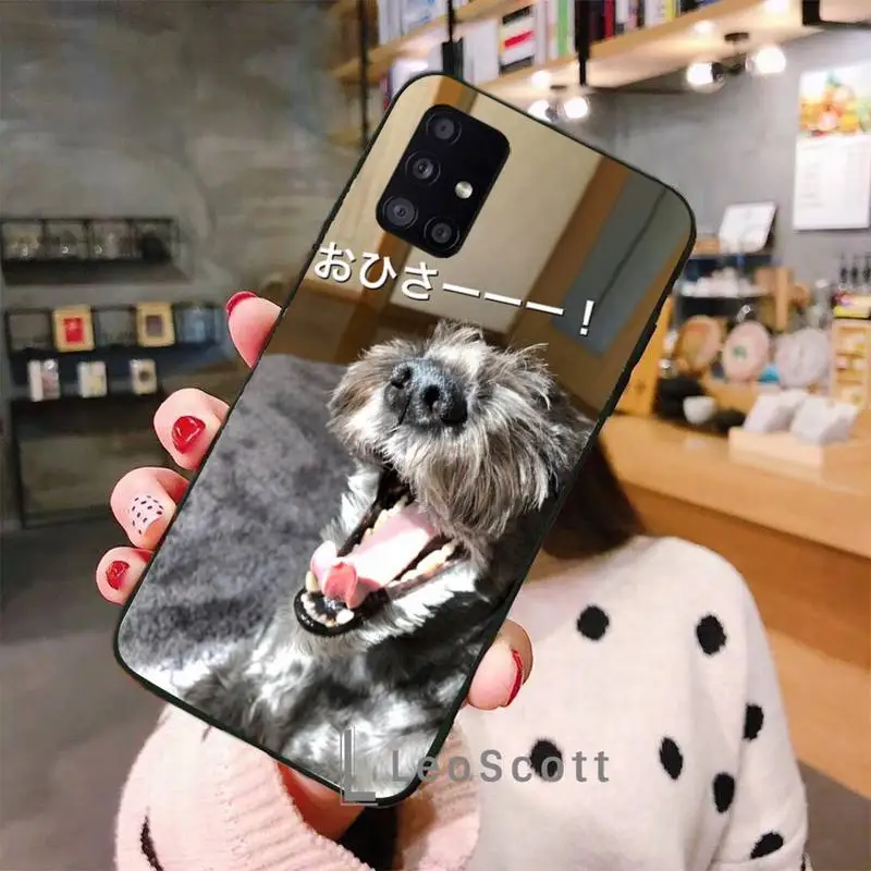 Lovely Dogs Schnauzer Phone Case For Samsung galaxy S 7 8 9 10 20 edge A 6 10 20 30 50 51 70 note 10 plus
Lovely Dogs Schnauzer Phone Case For Samsung galaxy S 7 8 9 10 20 edge A 6 10 20 30 50 51 70 note 10 plus