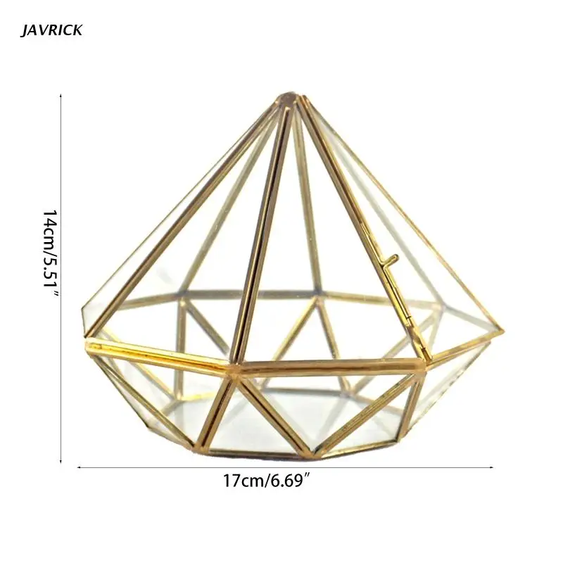 Handmade Gold Open Glass Geometric Terrarium Brass Diamond Succulent Fern Moss P
Handmade Gold Open Glass Geometric Terrarium Brass Diamond Succulent Fern Moss P