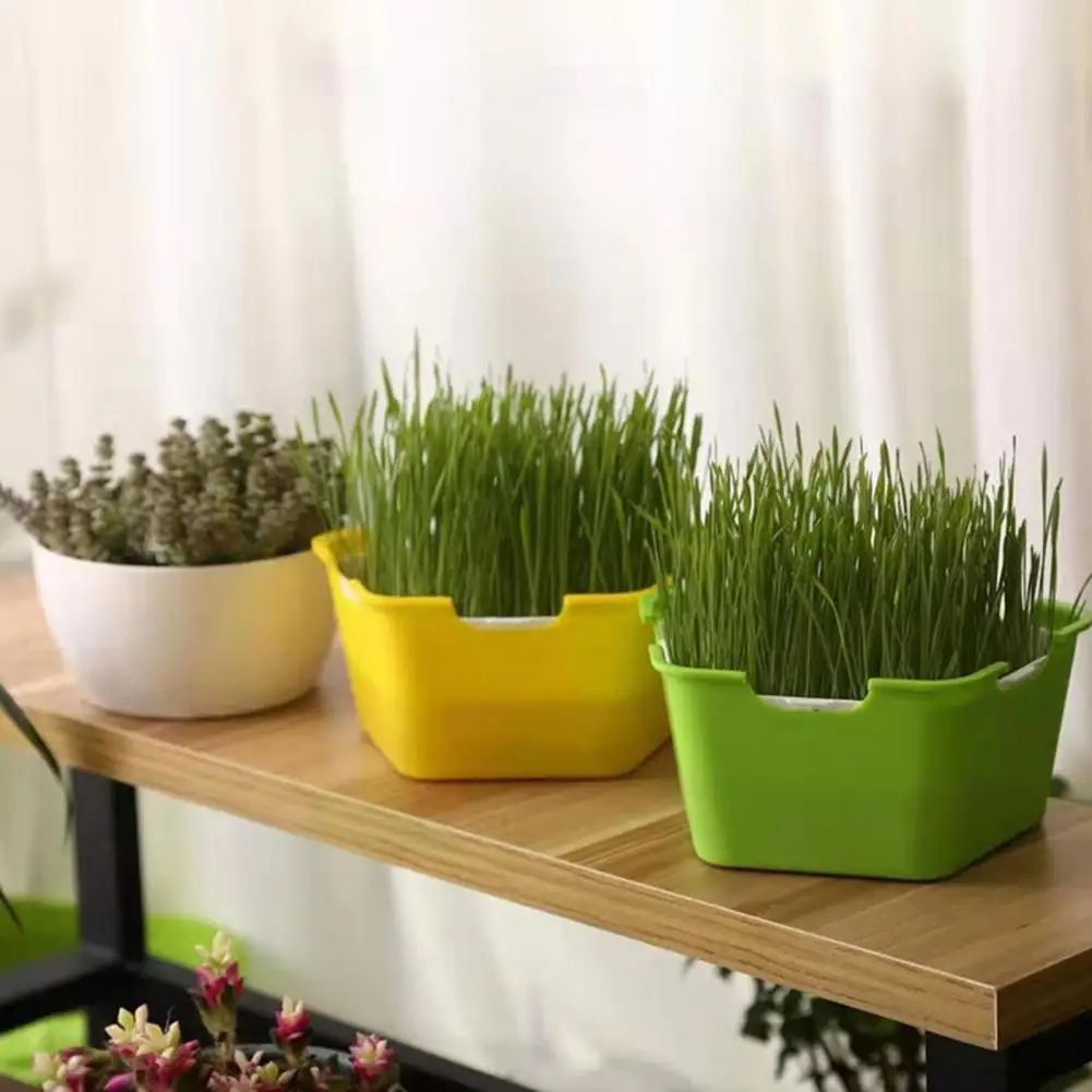 40%HOTNursery Pot Easy to Use Corrosion-resistant Plastic Sprout Planting Pot Box for Garden
40%HOTNursery Pot Easy to Use Corrosion-resistant Plastic Sprout Planting Pot Box for Garden