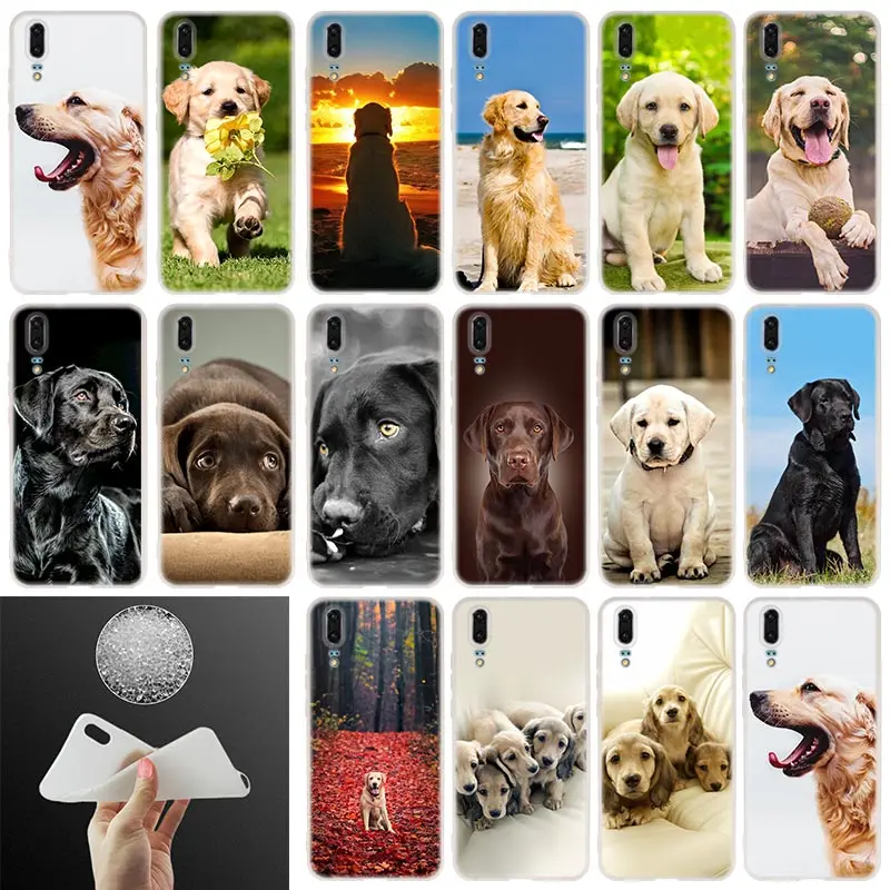 Labrador Retriever dog Soft Silicone Senior Case For Huawei P50 P40 P30 P20 Pro Lite E P Samrt Z 2019 2020
Labrador Retriever dog Soft Silicone Senior Case For Huawei P50 P40 P30 P20 Pro Lite E P Samrt Z 2019 2020