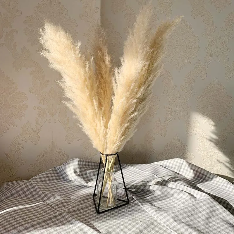 Hot sale 55cm Pampas Grass Decor Extra Large Natural Dried Flowers Bouquet Wedding Flowers Vintage Style for Home Valentine's
Hot sale 55cm Pampas Grass Decor Extra Large Natural Dried Flowers Bouquet Wedding Flowers Vintage Style for Home Valentine's