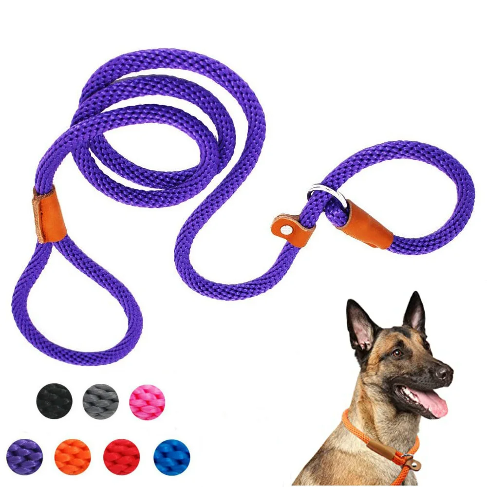 Durable P Chain Slip Dog Leash 6 FT Dog Training Leash Strong Lead Standard Adjustable Pet Rope Leash for Large Medium Dogs
Durable P Chain Slip Dog Leash 6 FT Dog Training Leash Strong Lead Standard Adjustable Pet Rope Leash for Large Medium Dogs