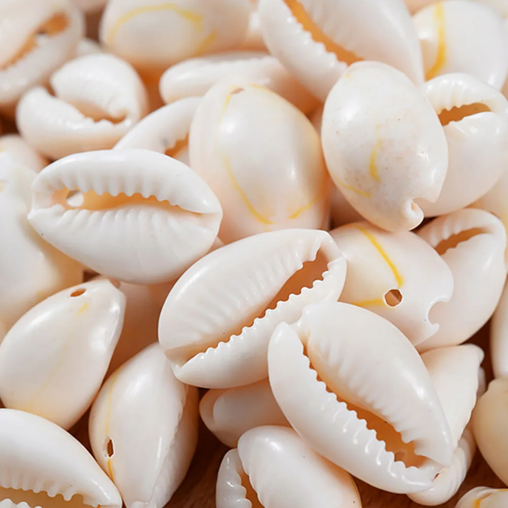 15mm White Natural Shell Conch Beads Charm Oval Single Hole Loose Spacer Beads For Jewelry Making Bracelet Crafts Accessories
15mm White Natural Shell Conch Beads Charm Oval Single Hole Loose Spacer Beads For Jewelry Making Bracelet Crafts Accessories