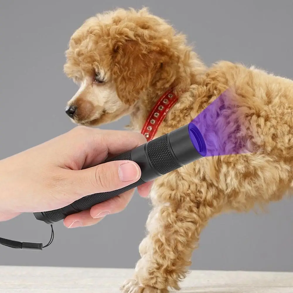 5W 365nm UV LED Flashlight Ultra Violets mini Ultraviolet Lanterna IP65 Invisible Pet Dog Cat Detection Torch 18650 Hunting Lamp
5W 365nm UV LED Flashlight Ultra Violets mini Ultraviolet Lanterna IP65 Invisible Pet Dog Cat Detection Torch 18650 Hunting Lamp