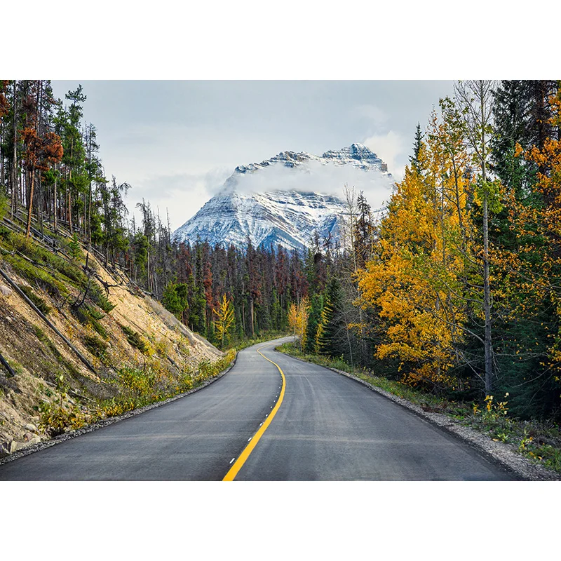 Vinyl Custom Photography Backdrops Road Scenery Theme Photography Background 20213RD-01
Vinyl Custom Photography Backdrops Road Scenery Theme Photography Background 20213RD-01