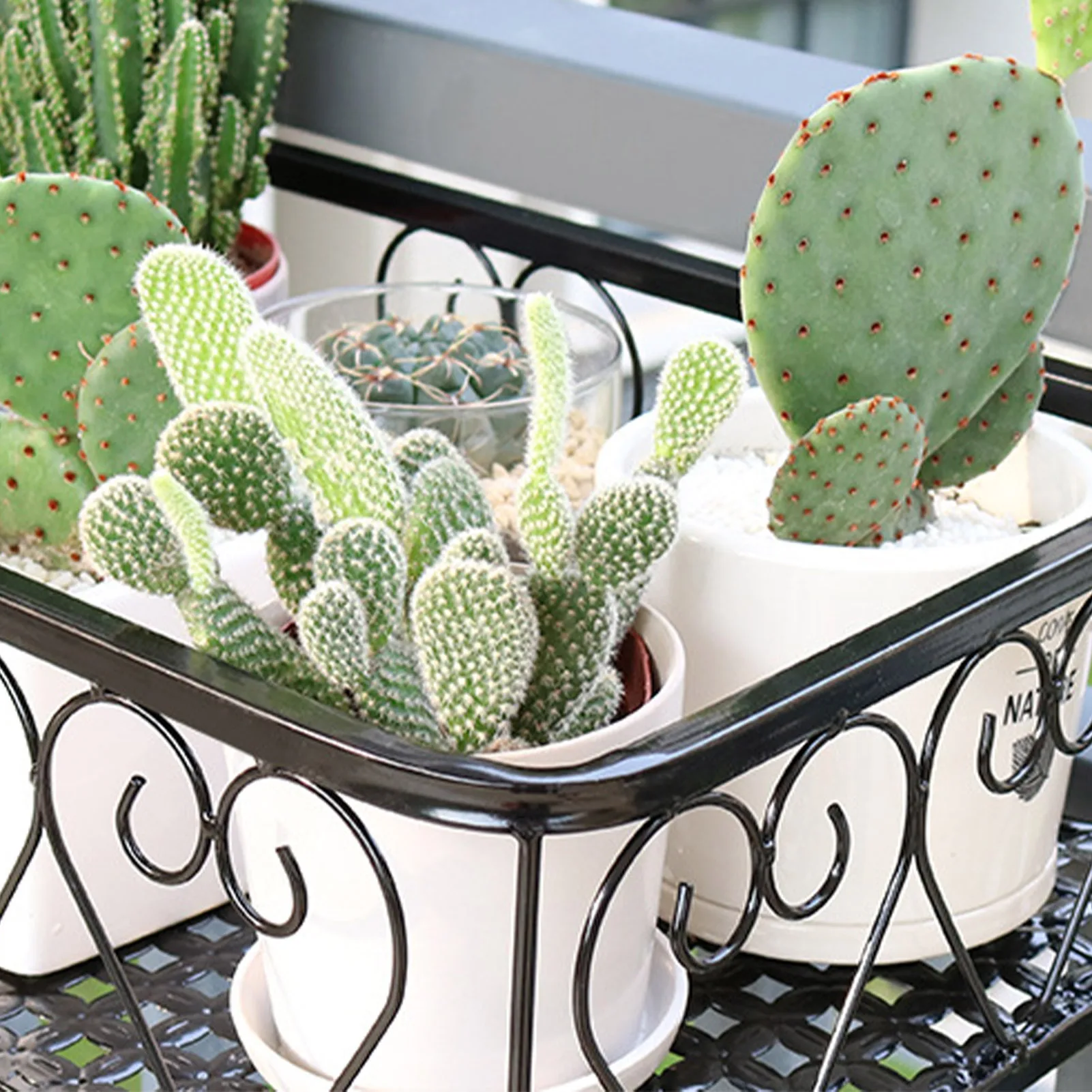 Balcony Hanging Iron Plant Succulent Stand Flower Pot Stand Rack Flowerpot Railing Shelf Flower Display Holder Home delightful
Balcony Hanging Iron Plant Succulent Stand Flower Pot Stand Rack Flowerpot Railing Shelf Flower Display Holder Home delightful