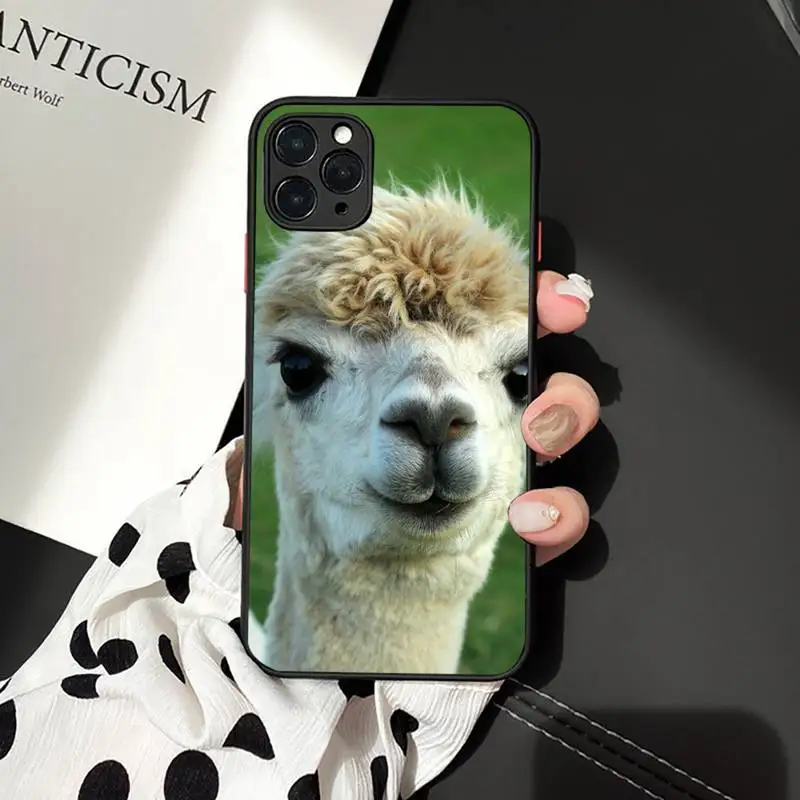Lama Llama Alpacas Animal Phone Case For iPhone 12 11 Mini Pro XR XS Max 7 8 Plus X Matte transparent cover
Lama Llama Alpacas Animal Phone Case For iPhone 12 11 Mini Pro XR XS Max 7 8 Plus X Matte transparent cover