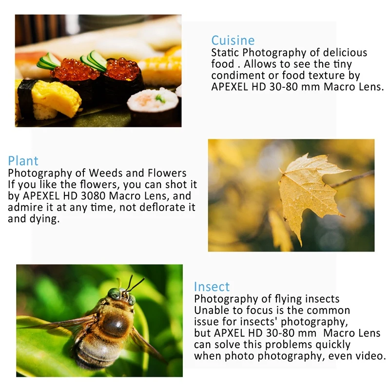 APEXEL HD Optic Camera Phone Lens 30-80Mm Macro Lens Super Macro Lenses for IPhone 7 8 Xs Max Huawei Xiaomi All Smartphones 
APEXEL HD Optic Camera Phone Lens 30-80Mm Macro Lens Super Macro Lenses for IPhone 7 8 Xs Max Huawei Xiaomi All Smartphones