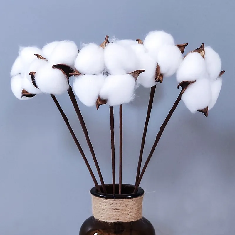 5Pcs Naturally Real Plants Dried Cotton Flowers Home Party Decorative Artificial Floral Branch Wedding Bridesmaid Bouquet Decor
5Pcs Naturally Real Plants Dried Cotton Flowers Home Party Decorative Artificial Floral Branch Wedding Bridesmaid Bouquet Decor