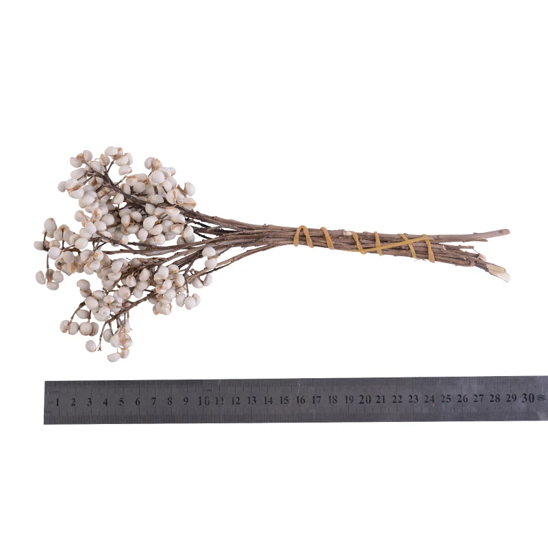 1 bundles 30cm Natural Preserved dried fruit flowers Bouquet floral Delicate Decorative wedding bridal accessories DIY gifts box
1 bundles 30cm Natural Preserved dried fruit flowers Bouquet floral Delicate Decorative wedding bridal accessories DIY gifts box