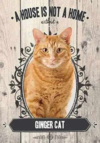 Metal Wall Sign A House Is Not A Home Ginger Cat Home Interior Art Wall Decoration Old-fashioned Retro Metal Plate 8X12 Inches
Metal Wall Sign A House Is Not A Home Ginger Cat Home Interior Art Wall Decoration Old-fashioned Retro Metal Plate 8X12 Inches