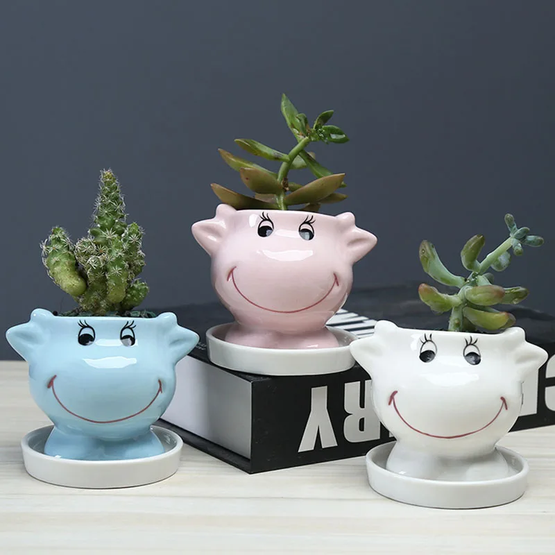 Home Decoration Cartoon Cows Succulent Flower Pot Miniature Model Ceramic Planter Plants Holder Fairy Garden Decoration Ornament
Home Decoration Cartoon Cows Succulent Flower Pot Miniature Model Ceramic Planter Plants Holder Fairy Garden Decoration Ornament