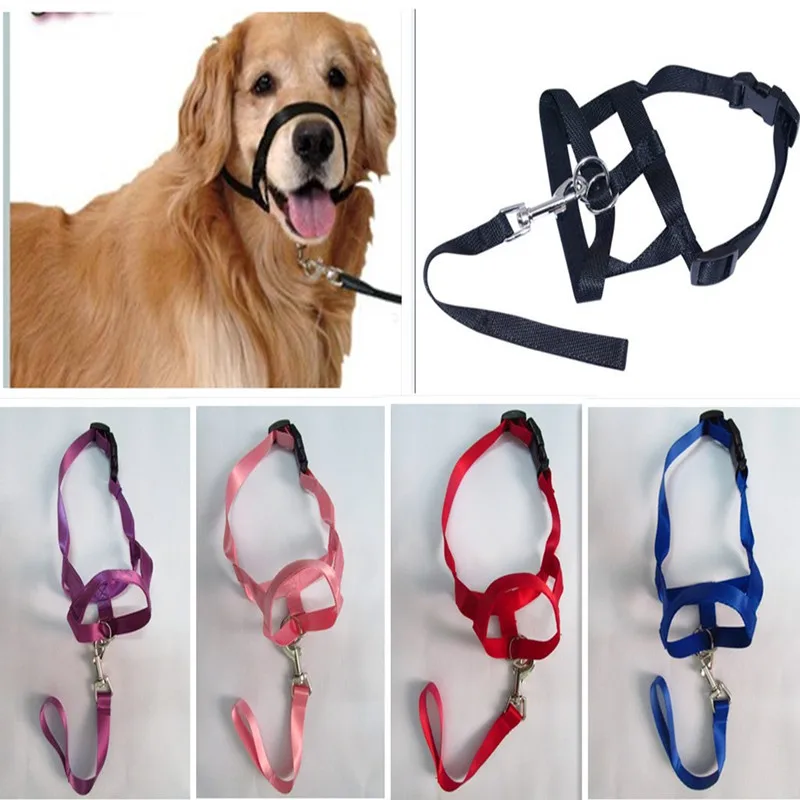 Harness Adjustable Muzzle Dog Halter Leader Belt Dog Collar Head Collar No Pull Bite Straps Training Leash Leader
Harness Adjustable Muzzle Dog Halter Leader Belt Dog Collar Head Collar No Pull Bite Straps Training Leash Leader