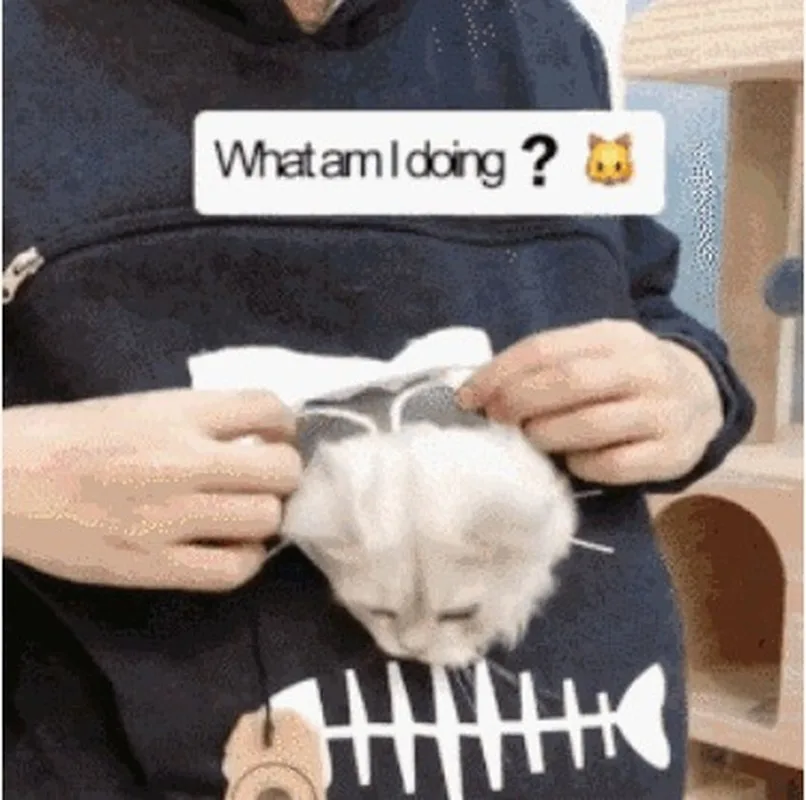 Animal Pouch Hood Tops Sweatshirt Amazing Cat Hoodie Cats Travel Sweater Animal Hooded Pocket Couple Sweatshirt Drop Shipping
Animal Pouch Hood Tops Sweatshirt Amazing Cat Hoodie Cats Travel Sweater Animal Hooded Pocket Couple Sweatshirt Drop Shipping