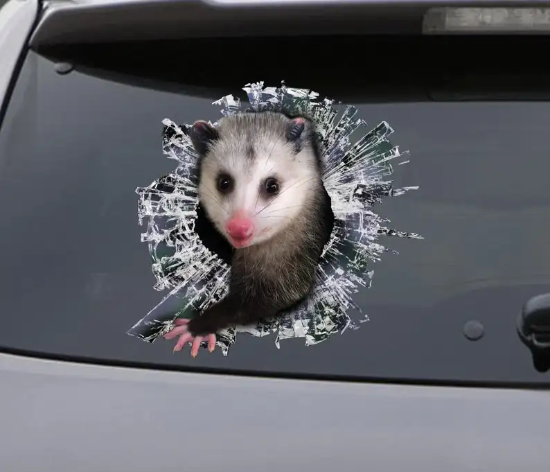 2021 наклейка, наклейка на окно opossum, наклейка на машину, наклейка на машину opossum, забавная наклейка
2021 наклейка, наклейка на окно opossum, наклейка на машину, наклейка на машину opossum, забавная наклейка