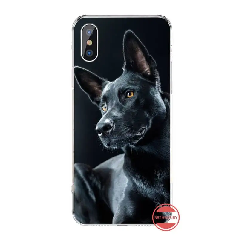 Pit Bull Lovely Dog Pitbull animal Phone Case For iphone 12 5 5s 5c se 6 6s 7 8 plus x xs xr 11 pro max
Pit Bull Lovely Dog Pitbull animal Phone Case For iphone 12 5 5s 5c se 6 6s 7 8 plus x xs xr 11 pro max