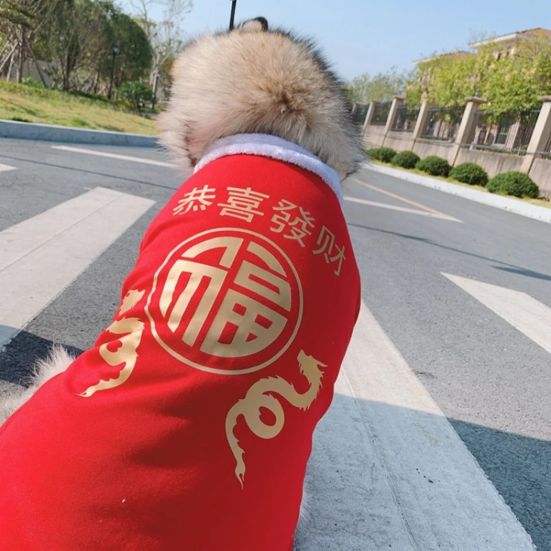 Chinese New Year Dog Clothes Winter Big Large Dog Outfit Samoyed Husky Labrador Golden Retriever Dog Coat Jacket Tang Suit
Chinese New Year Dog Clothes Winter Big Large Dog Outfit Samoyed Husky Labrador Golden Retriever Dog Coat Jacket Tang Suit