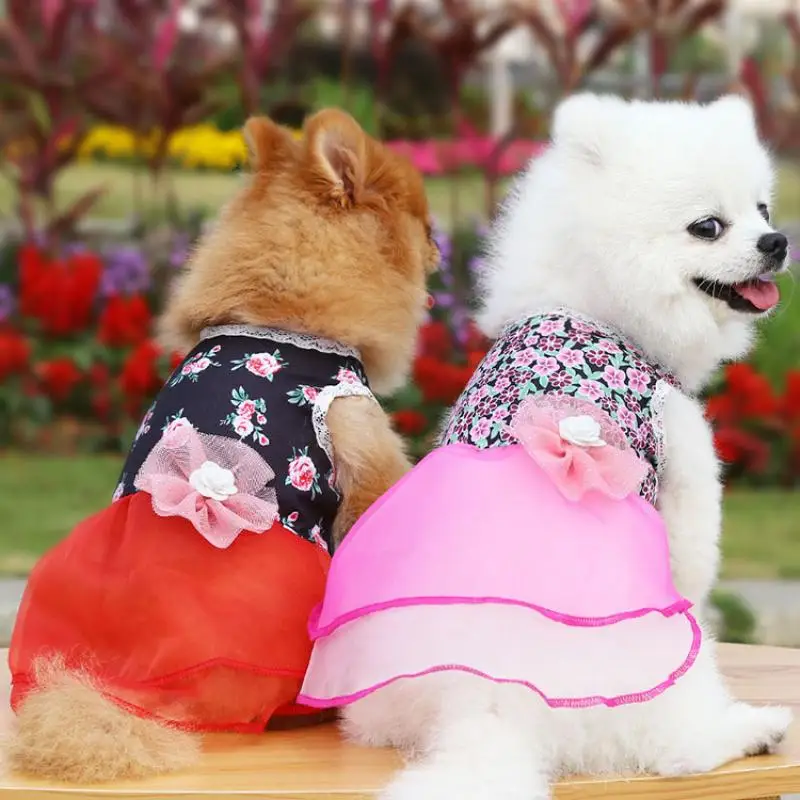 Cute Dog Dress Princess Lace Dresses Dog Clothes for Small Dogs Breathable Party Birthday Wedding Summer Pet Clothes XS-XXL
Cute Dog Dress Princess Lace Dresses Dog Clothes for Small Dogs Breathable Party Birthday Wedding Summer Pet Clothes XS-XXL