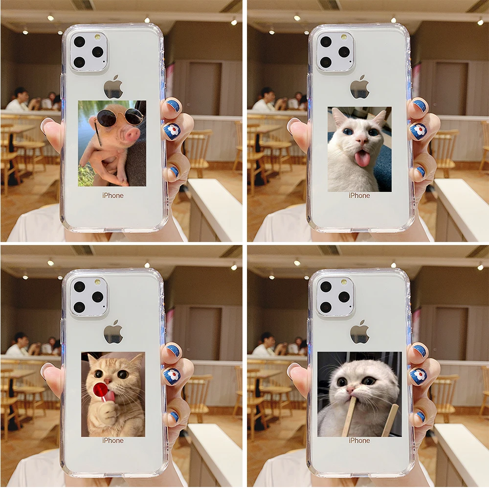 Hot Cat Cute Cartoon Funny Pattern Phone Case for IPhone 12 Mini 5 6 6S 7 8 SE Plus X XS XR 11 Pro Max Funda Soft Silicone Cover
Hot Cat Cute Cartoon Funny Pattern Phone Case for IPhone 12 Mini 5 6 6S 7 8 SE Plus X XS XR 11 Pro Max Funda Soft Silicone Cover
