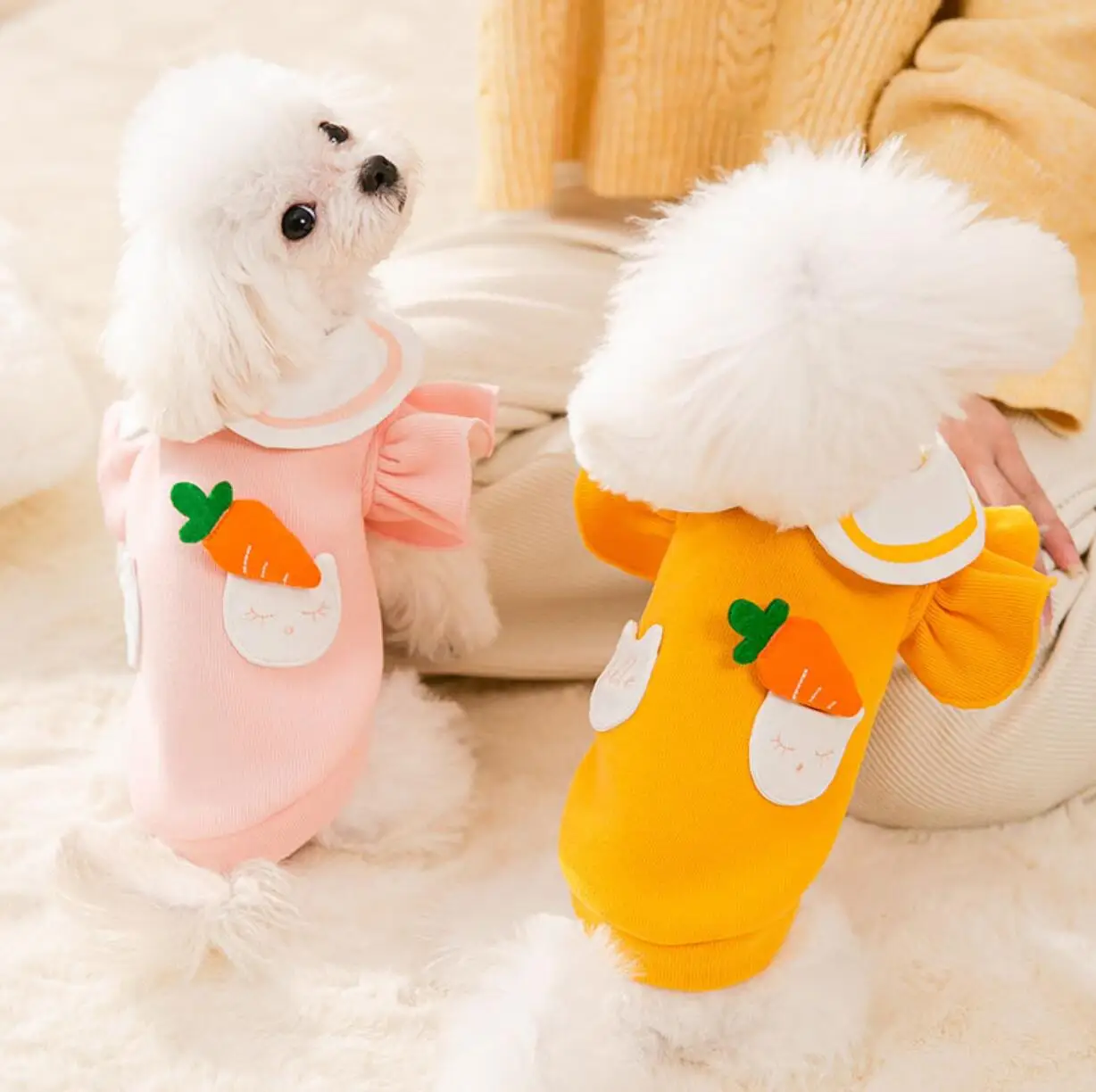 Pet Clothes Small Dog Shirts Cats Summer Cool Clothes T-shirt 
Pet Clothes Small Dog Shirts Cats Summer Cool Clothes T-shirt