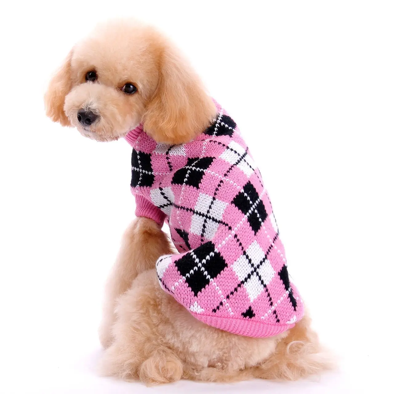 Cute Designer Dog Clothes Sweater for small dog Puppy Teddy Bear Poodle pomeranian Costume Autumn Winte Pet Clothes
Cute Designer Dog Clothes Sweater for small dog Puppy Teddy Bear Poodle pomeranian Costume Autumn Winte Pet Clothes