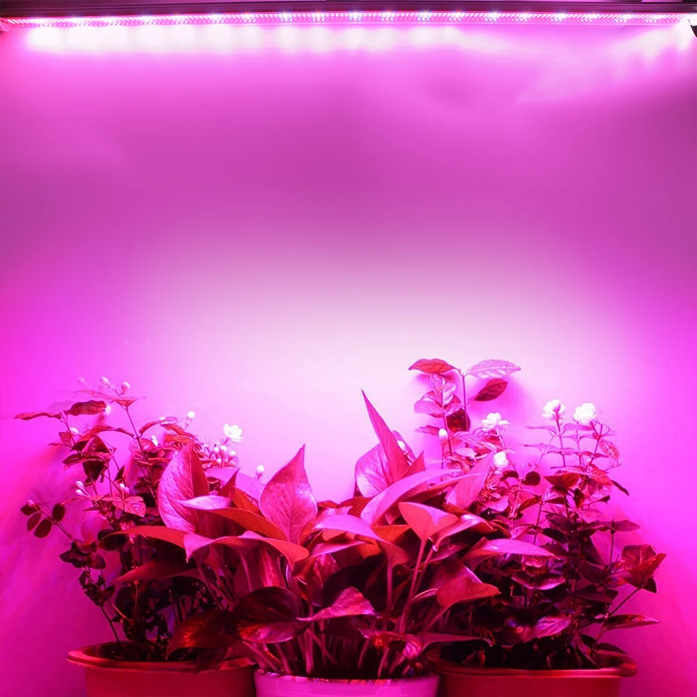 (3pcs/Lot) LED Grow Light T8 Led Tube integrated Lamp for Indoor Greenhouse Flower Plant and Hydroponics system Grow Strip Bar
(3pcs/Lot) LED Grow Light T8 Led Tube integrated Lamp for Indoor Greenhouse Flower Plant and Hydroponics system Grow Strip Bar